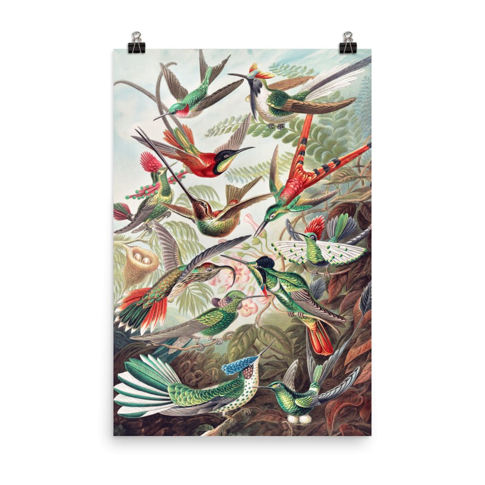 "Hummingbirds" Art Print - Lidia's