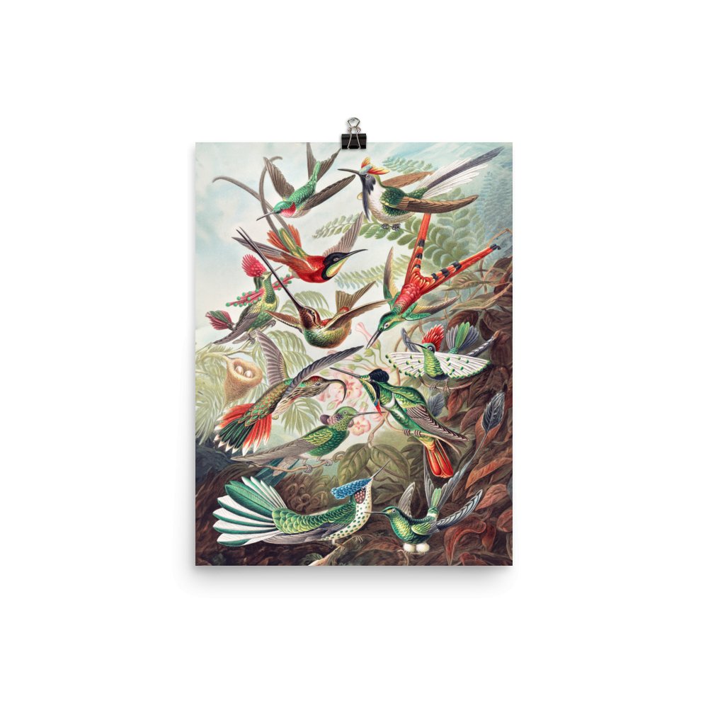 "Hummingbirds" Art Print - Lidia's