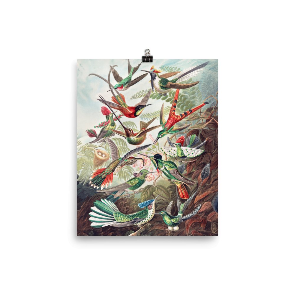 "Hummingbirds" Art Print - Lidia's