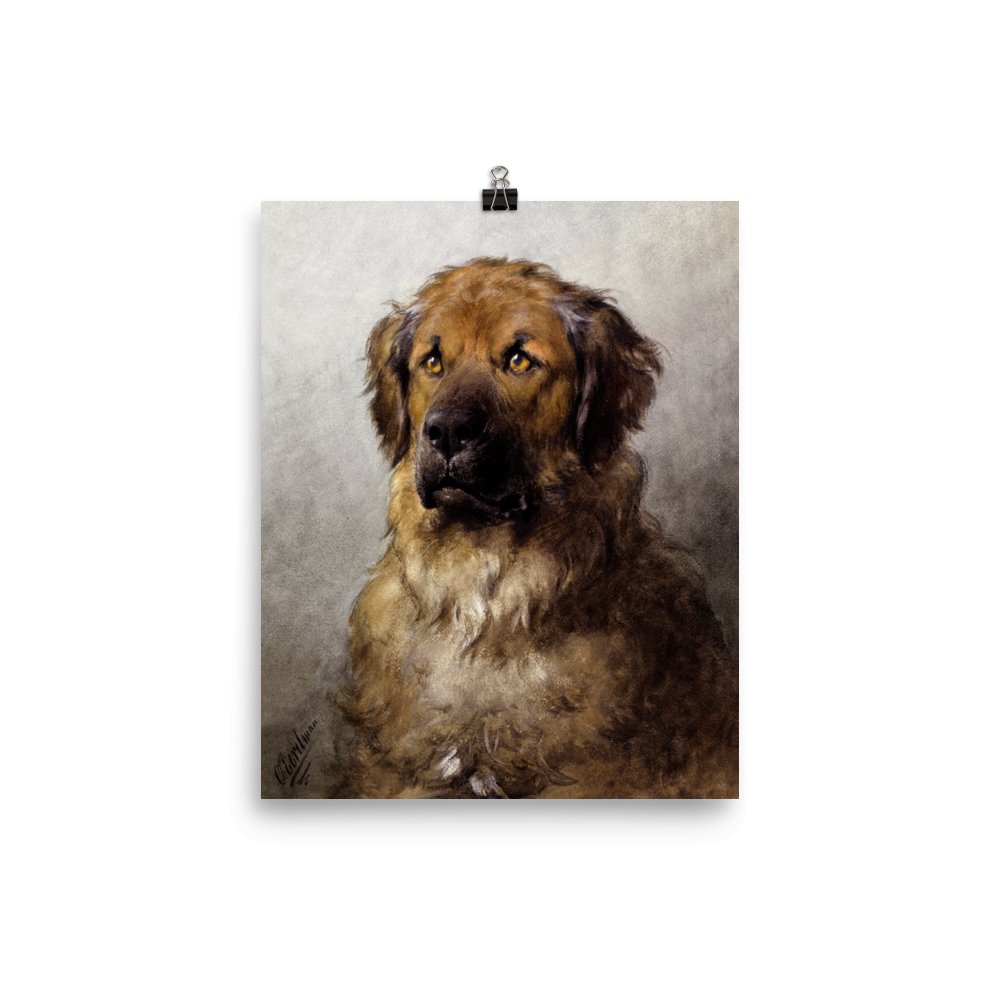 "Newfoundland Dog" Art Print - Lidia's