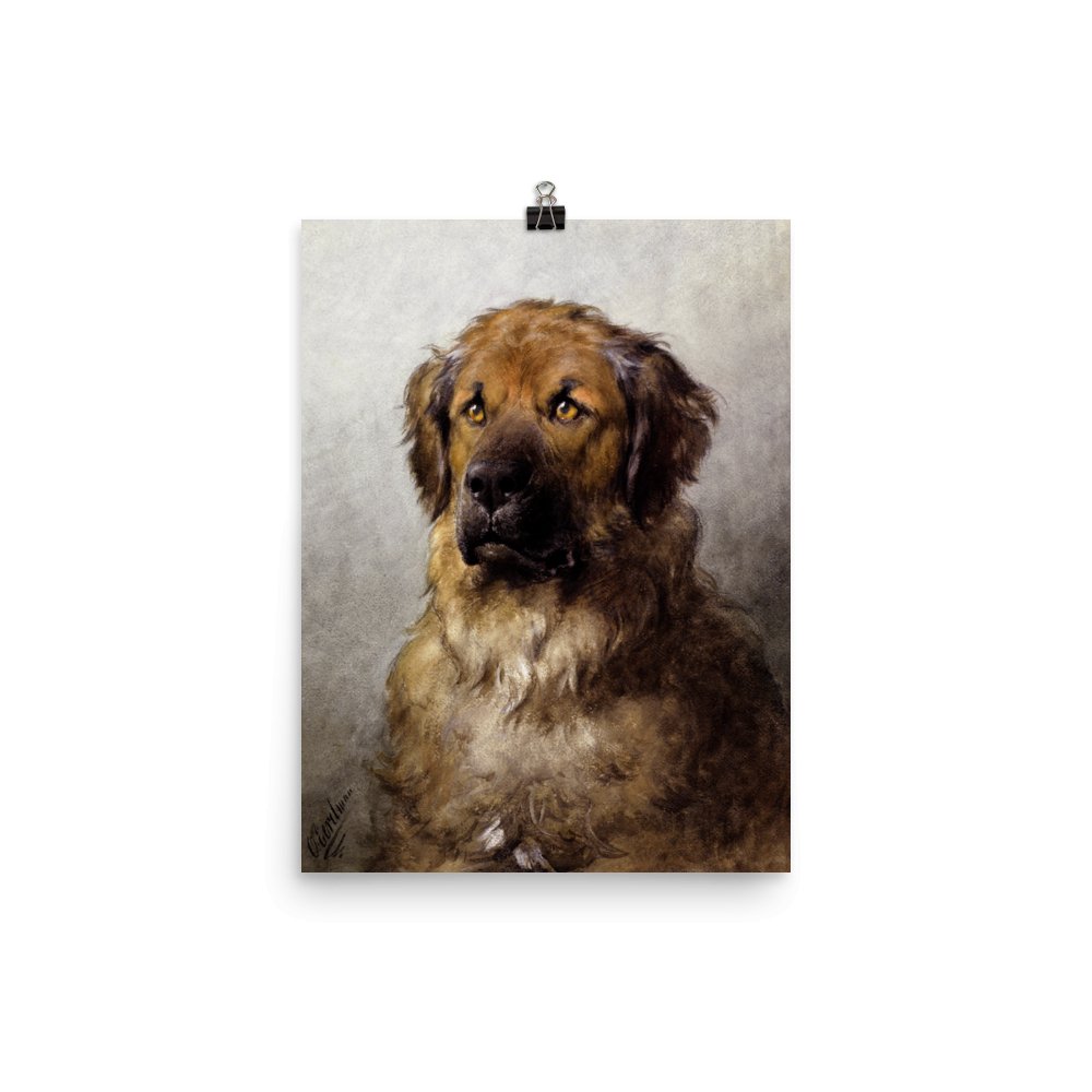 "Newfoundland Dog" Art Print - Lidia's