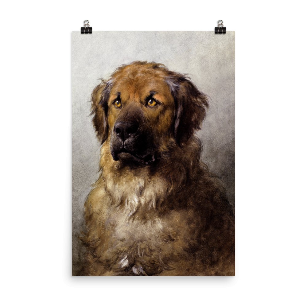 "Newfoundland Dog" Art Print - Lidia's