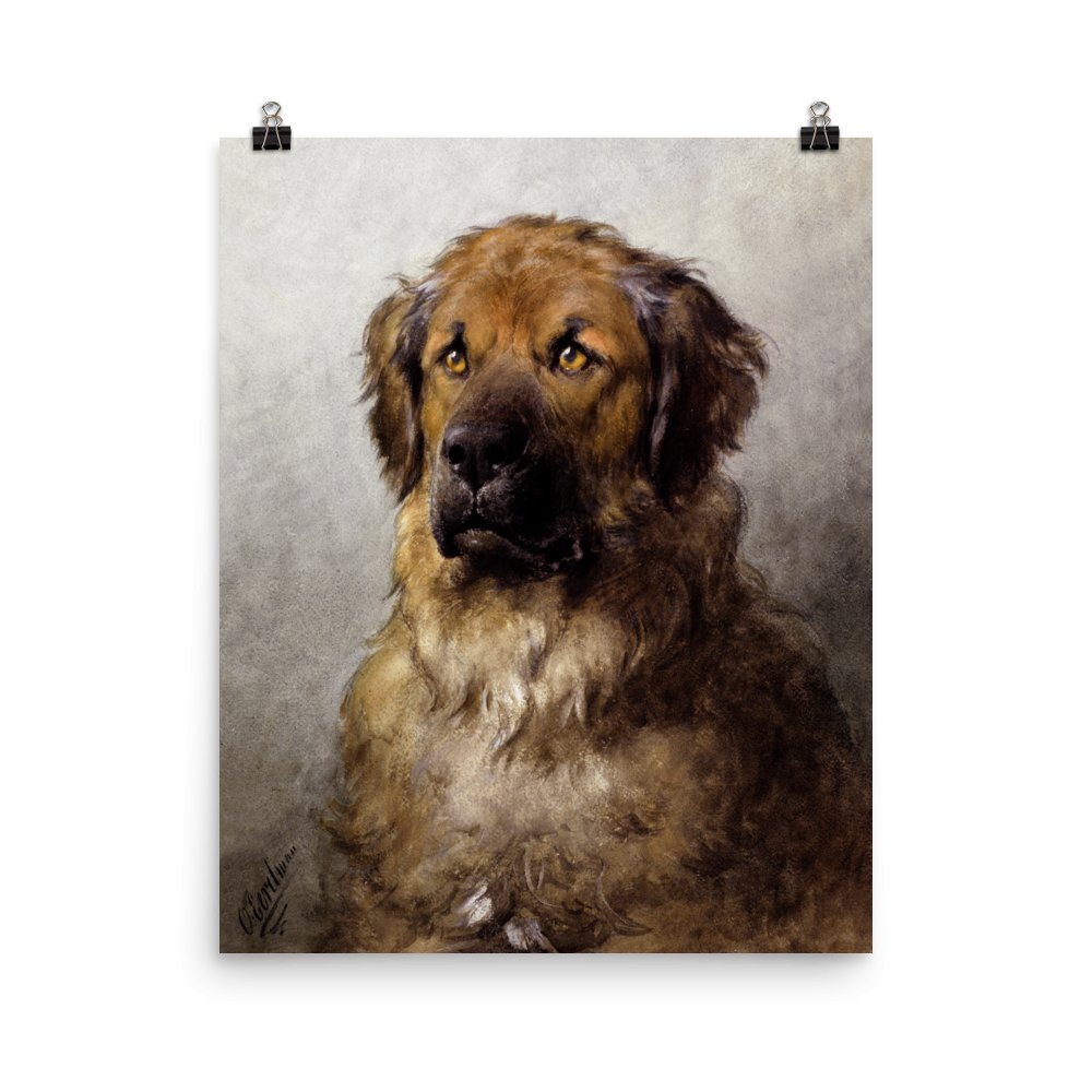 "Newfoundland Dog" Art Print - Lidia's