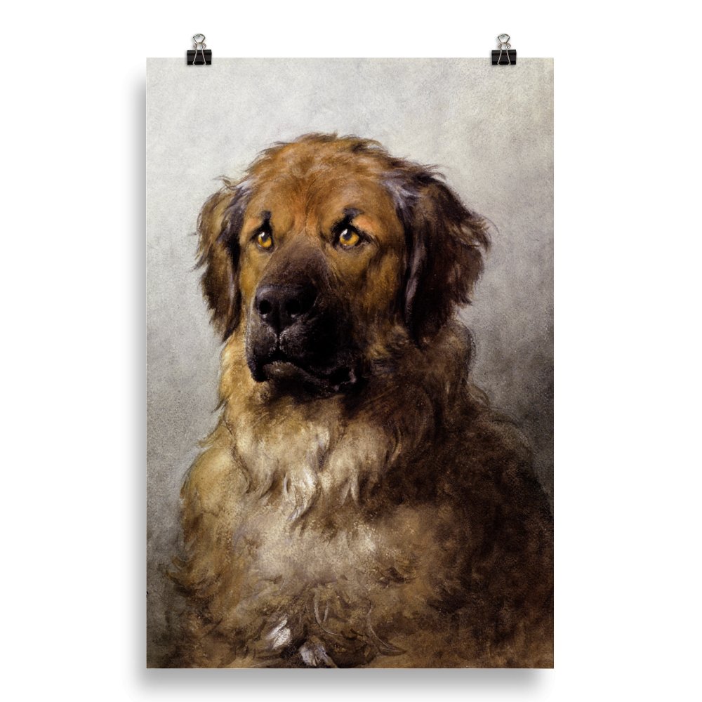 "Newfoundland Dog" Art Print - Lidia's