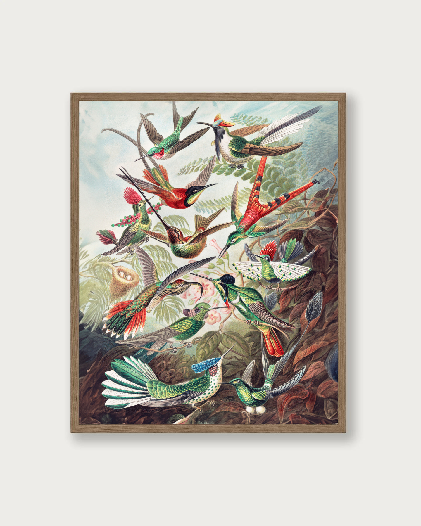 "Hummingbirds" Art Print