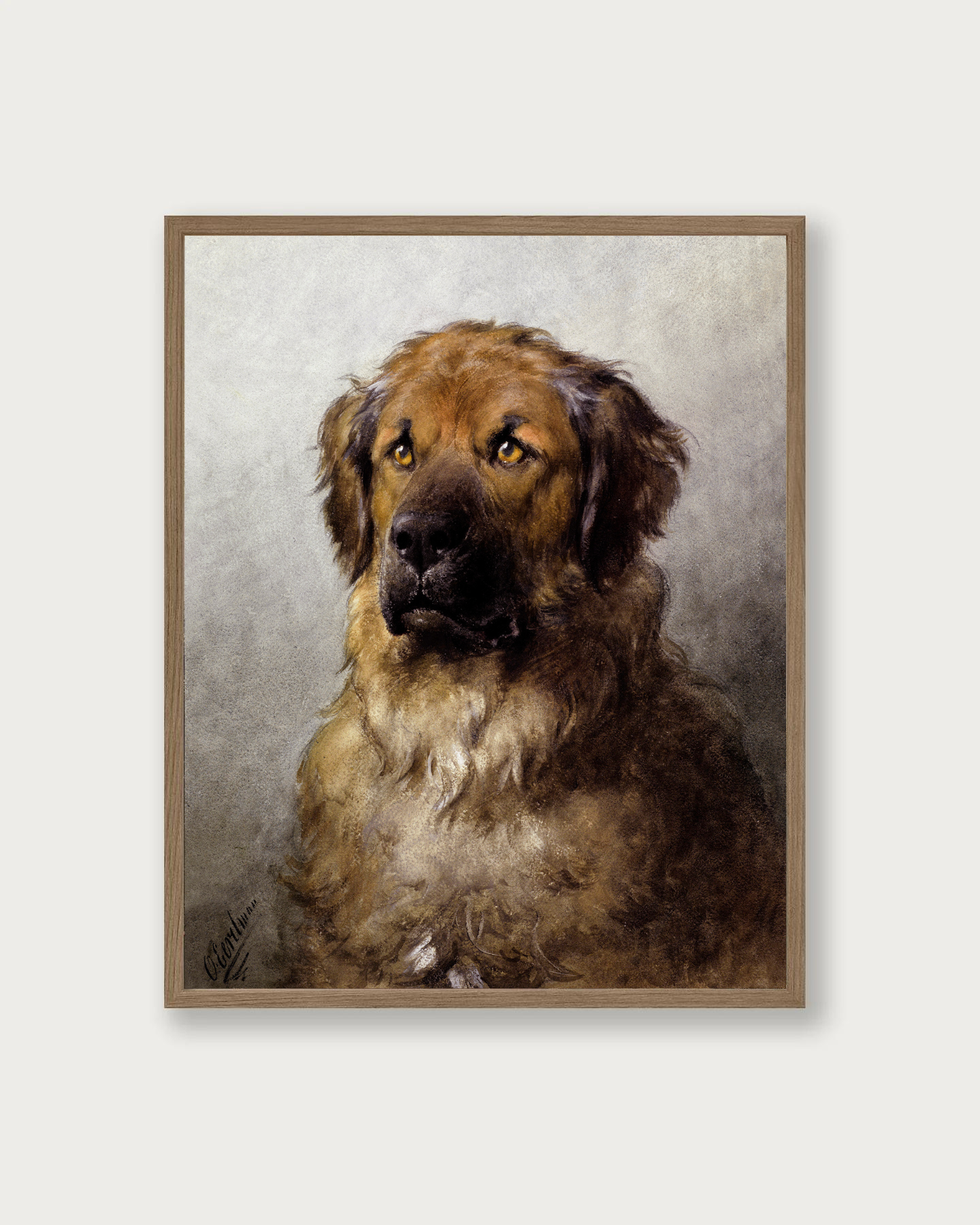 "Newfoundland Dog" Art Print